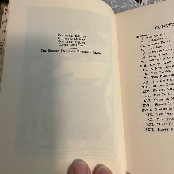 The Bobbsey Twins on Blueberry Island 1945 - Picture 8 of 9